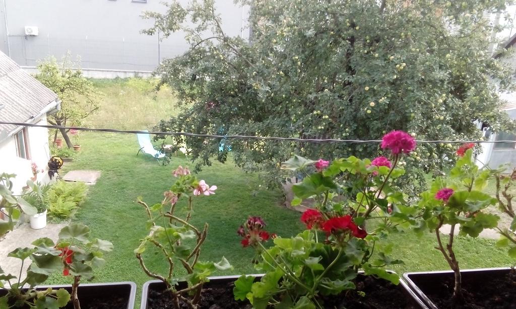 Casa Pescar Apartament Kluż-Napoka Pokój zdjęcie
